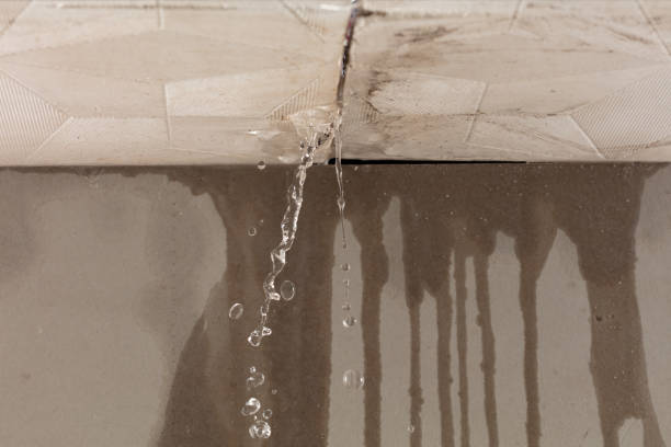 Professional Burst Pipe Cleanup technician working in Carrollton, AL